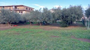 Borgo Parco - Uliveto